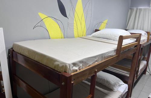 Guama Hostel | Jambu Hostel Belém