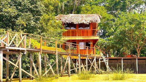 Belem Hostel | Jambu Hostel Combu
