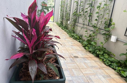 Parque Taquaral Hotel | K3 RESIDENCE Campinas, bairro nobre