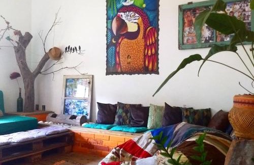 Ingleses Sul Hostel | Katsbarnea Hostel