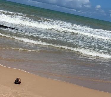 Santo Antonio Apartment | Kitnet em Santo Antônio