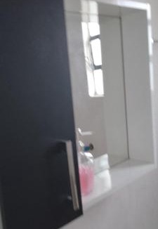 Telemaco Borba House | Kitnet progresso