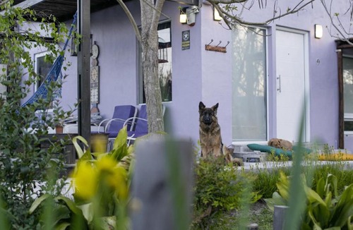 Las Gaviotas Apartment | La Mamunia