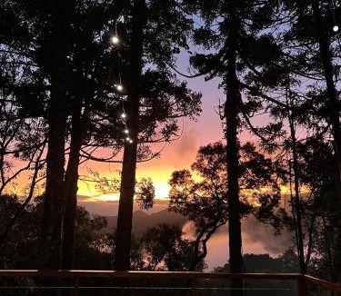 Sao Francisco de Paula Ski Chalet | La negra - cabana entre araucárias