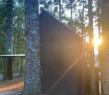 Sao Francisco de Paula Ski Chalet | La negra - cabana entre araucárias