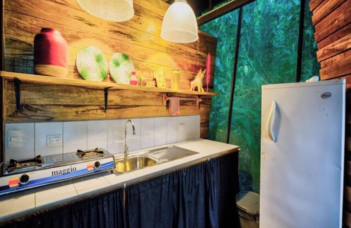 Cahuita Hotel | La Shamana Ecological, Concept in the Jungle