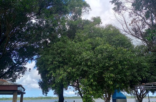 Osorio Cottage | Lagoa Site Lodging & Nature
