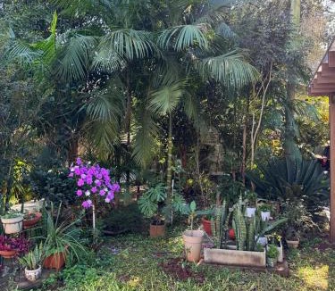 Zona Granja Apartment | Lapacho 2