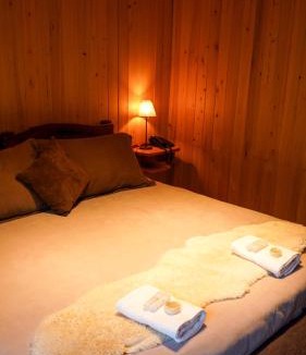 Malargue Cabin | Las termas de los Molles