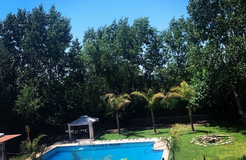 Vistalba Apartment | Lemon Tree Hostel Mendoza Argentina