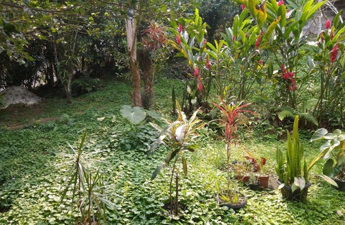 Jacuecanga House | Little corner of Pará