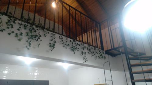 Ponta do Papagaio House | LOFT do Sonho!