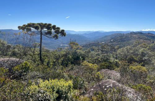 Campos do Jordao Apartment | Loft Próximo ao Teleférico