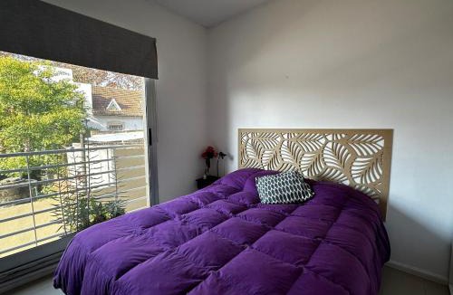 San Fernando Apartment | Lovely & Lightful Studio with pool