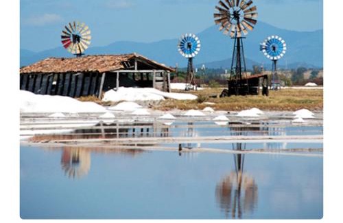 Ponte dos Leites House | Lugar de descanso e muito verde praia e lagoa Araruama