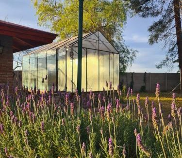 Lujan de Cuyo Hotel | Lujan De Cuyo B&B