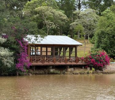Dos de Mayo House | Luz de campo