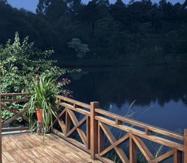 Dos de Mayo House | Luz de campo