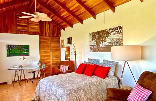 Garabito Apartment | Magic Mountain Views Studio
