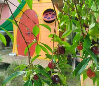 Campo Alegre House | Mini House Park