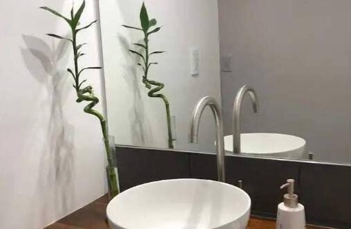 Dorrego Apartment | Modern apartment just 5 minutes from the center of Mendoza
