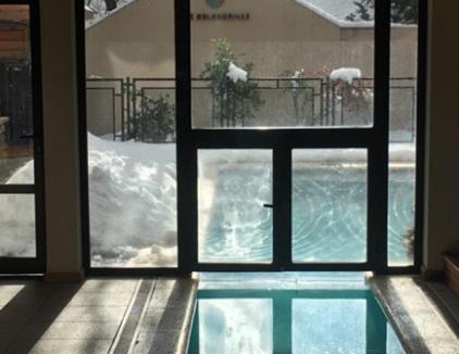 Lanin National Park Apartment | Monoambiente amplio con piscina