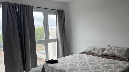 Cipolletti Apartment | Monoambiente 002