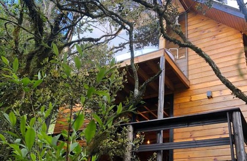 Sao Jose dos Ausentes Cabin | Morada Alto Das Nuvens