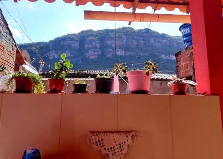 Mucuge House | Morada das Plantas