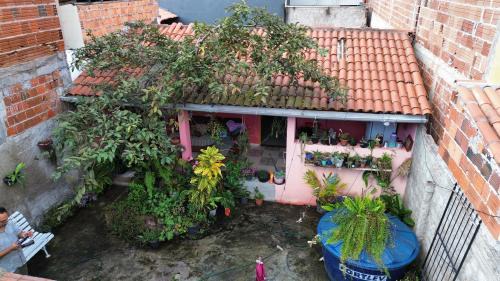 Mucuge House | Morada das Plantas