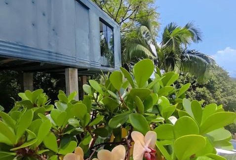 Florianopolis House | Morada do Altíssimo