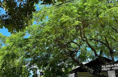 Guarda do Embau Apartment | Morada dos Pássaros-