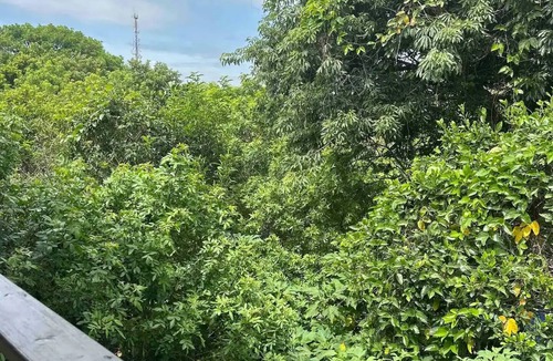 Guarda do Embau Apartment | Morada dos Pássaros- Arara