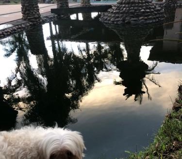 Santa Cruz da Conceicao House | Morada por do sol no lago hidro e piscina