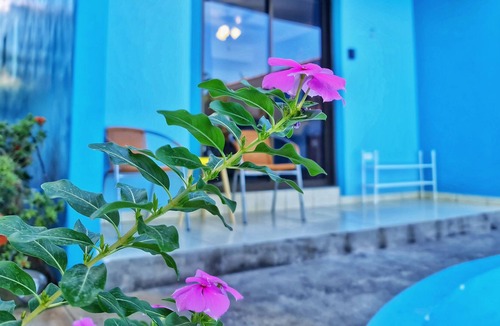 Coco Condo | Newly updated 2bd 2ba condo meters from the beach!