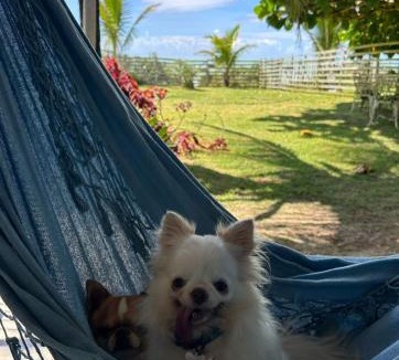 Caraiva Hostel | OCA Caraíva