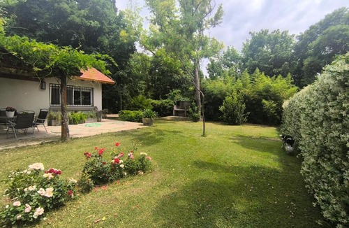 Chacras de Coria House | Old Willow