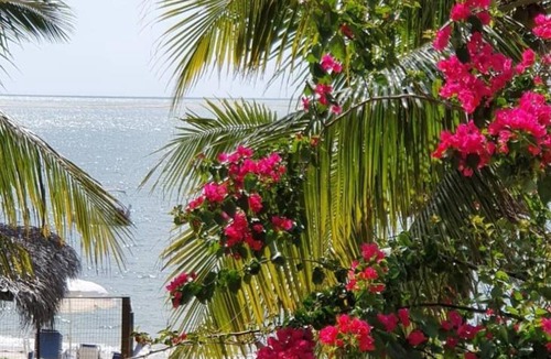 Goiana House | Pé na areia
