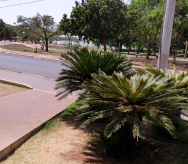 Guaira Hotel | Palmares Hotel