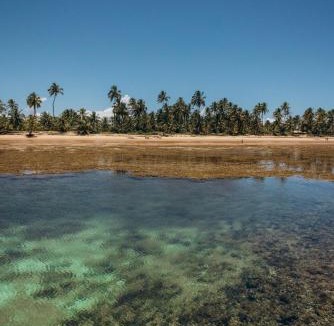 Graca House | Paraíso da Bahia