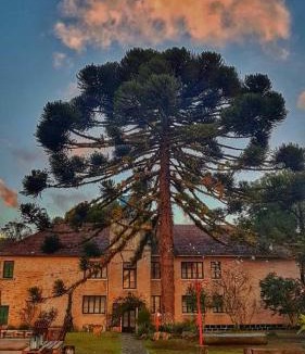 Sao Francisco de Paula Hotel | Parador Hampel