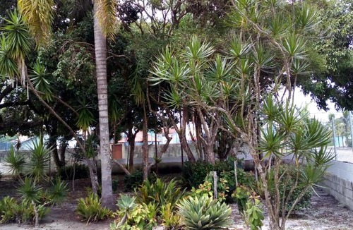 Peruibe House | PERUÍBE - Recanto José de Anchieta - A 500 metros da Praia -