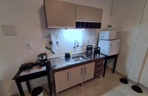Historic Center Apartment | Petrópolis. Centro
