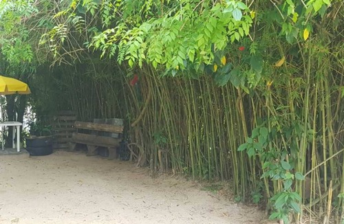 Praia do Rosa House | Phoenix House Rose 1