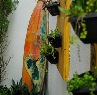 Pipa Hostel | Pipa Guest House