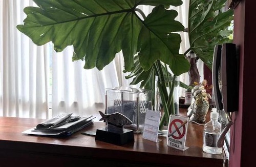Concordia Hotel | Posada Bambys