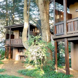 Mar del Plata Cabin | Posta Chimango, Cabañas frente al Golf Los Acantilados