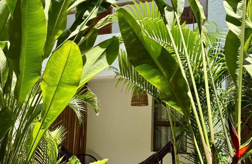 Jijoca de Jericoacoara Hotel | Pousada Baobá
