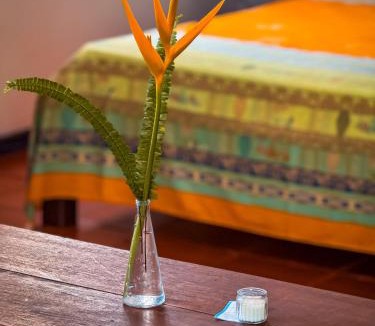 Velha Boipeba Hotel | Pousada Casa da Edinha