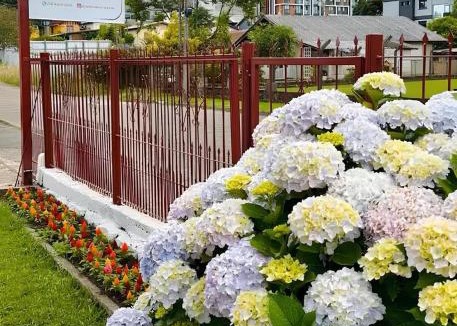 Centro Bed & Breakfast | Pousada Cores De Outono